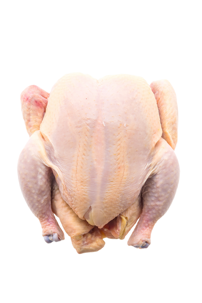 fresh whole chicken uncooked